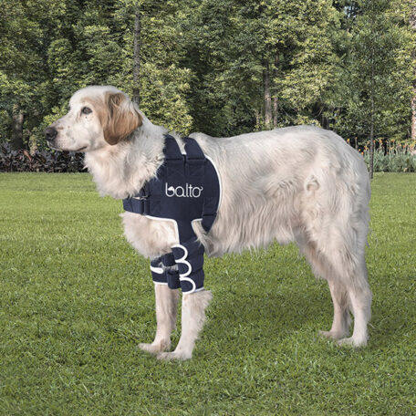 BT-LUX-Balto-Dog-Shoulder-Brace-1